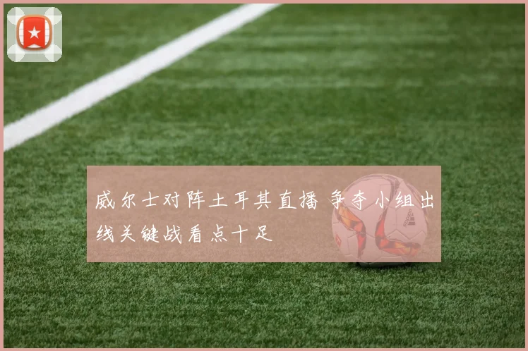 威尔士对阵土耳其直播 争夺小组出线关键战看点十足